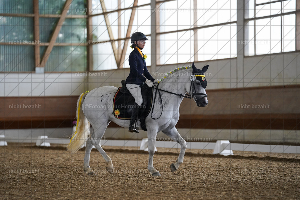20240825-FAH09610 | Turnierbilder, Reitsportfotos, LAPO, Landesponyturnier, Turnierfotografen Bayern