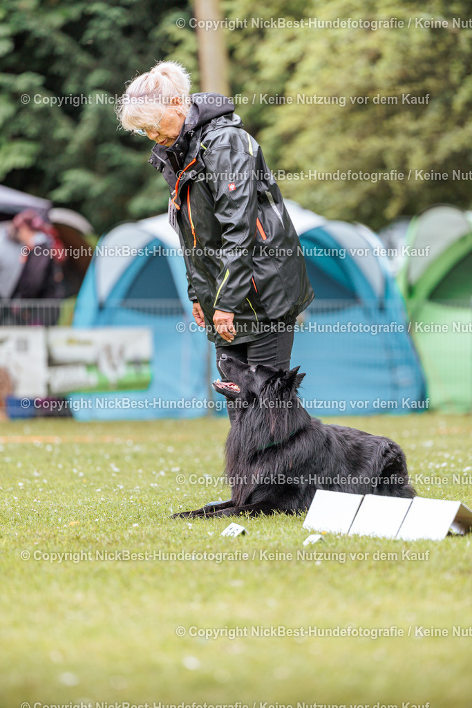 RO-Blumenthal-2026-Nickbest-Hundefotografie-1267 | Dein Hund! Dein Moment! Deine Erinnerungen! Hundefotografie in Bremen Blumenthal. Ich fange die besonderen Momente deines Vierbeiners ein – ob Indoor mit Blitzanlage oder in der freien Natur. Sicher dir dein Moment und dein Termin für eure Erinnerungen.