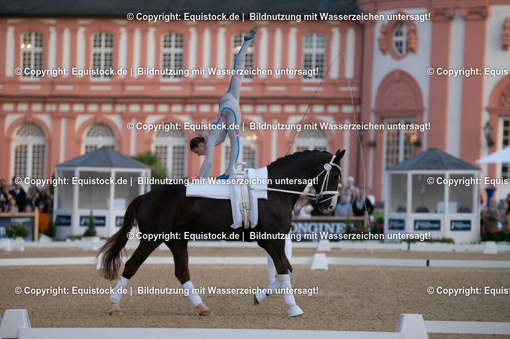 20230527_Voltigieren_NASPA_Flutlicht_0030 | equistock