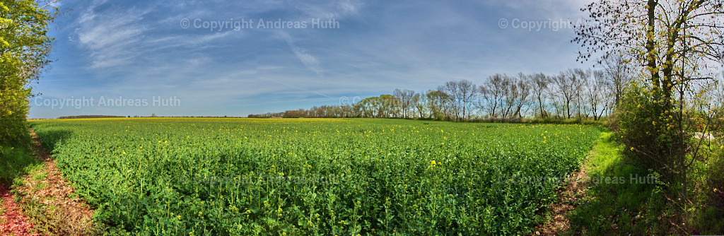 Am Elsterfloßgraben zwischen Lützen und Meuchen 02 | Bedeutsame Landschaften Deutschlands - Realisiert mit Pictrs.com