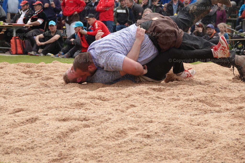 DSC04098 | Schwingen - Realisiert mit Pictrs.com