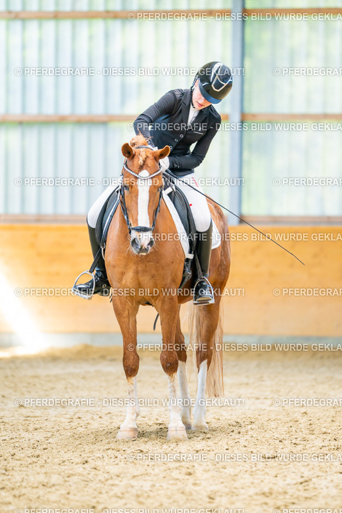 DSC08197 | Pferdegrafie