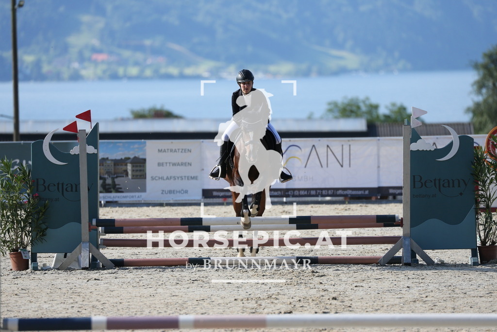 PP016309 | Willkommen bei Brunnmayr - Design & Fotografie – Ihrem Spezialisten für Reitturniere und Pferdeveranstaltungen in Oberösterreich, Salzburg und Bayern! Seit über 17 Jahren sind wir leidenschaftlich dabei.