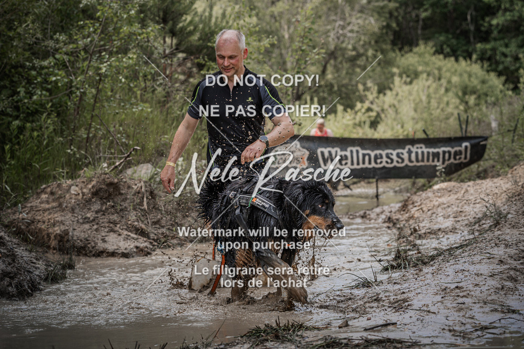 nelerasche_Hoope2026_So1600-1630_131 | nelerasche