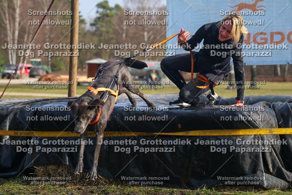 Dog Paparazzi - Strongdog North Mrz26-1950 | Dog Paparazzi Jeanette Grottendiek Fotografie & Videografie - Realisiert mit Pictrs.com