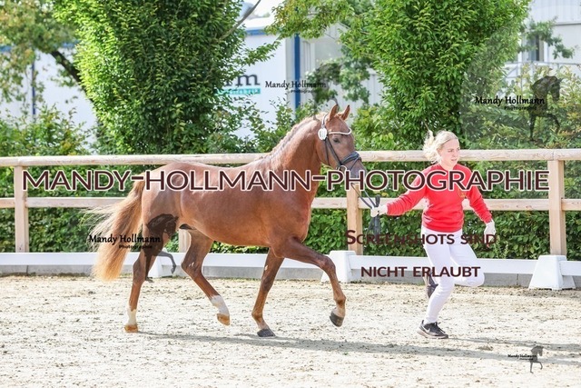 32-44 | mandyhollmannphotographie