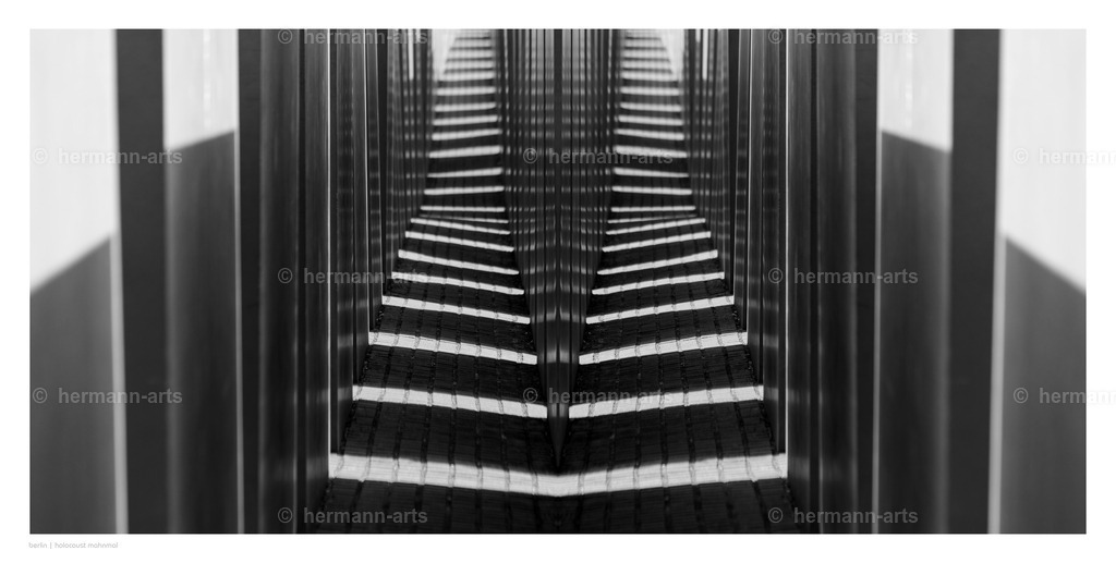 Hermann-Arts_Spiegelbilder_002 | Photo Foto Kunst Art schwarzweiss Bilder Rheine Münster Berlin Blumen 