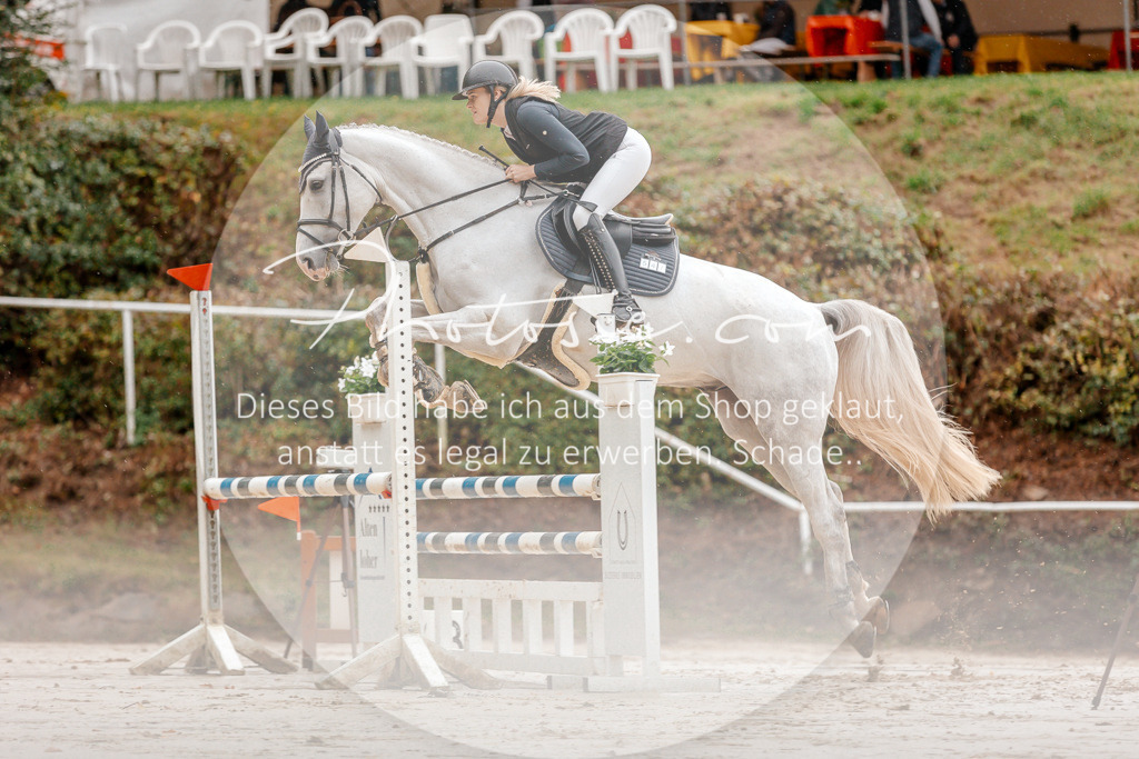 3I6A5672 | Stimmungsvolle Portraits und Reitsportfotografie im Ruhrgebiet und im Münsterland.

Pferdefotografie, Hundefotografie, Tierfotografie, Reportagen, Portraits von Tier und Mensch, Turnierfotografie in Bochum, Recklinghausen, Marl, Haltern am See, Dülmen.. - Realisiert mit Pictrs.com