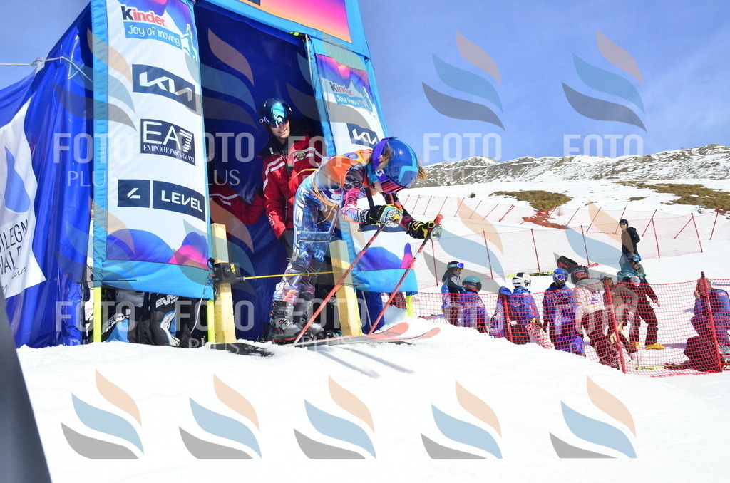 _ELE0937 | holidayphoto