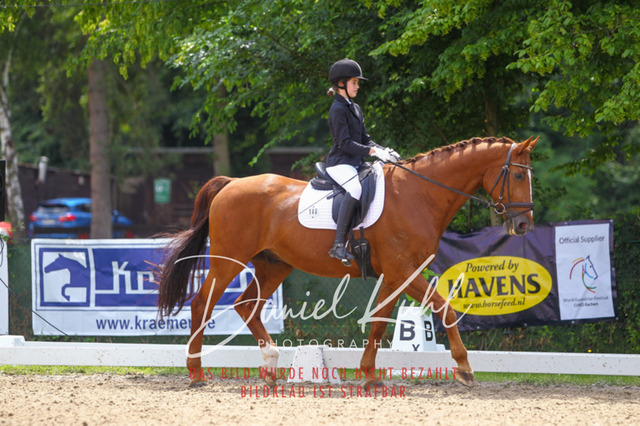 DKP42181 | Turniersportfotografie; Pferdefotografie; Dressurfotografie