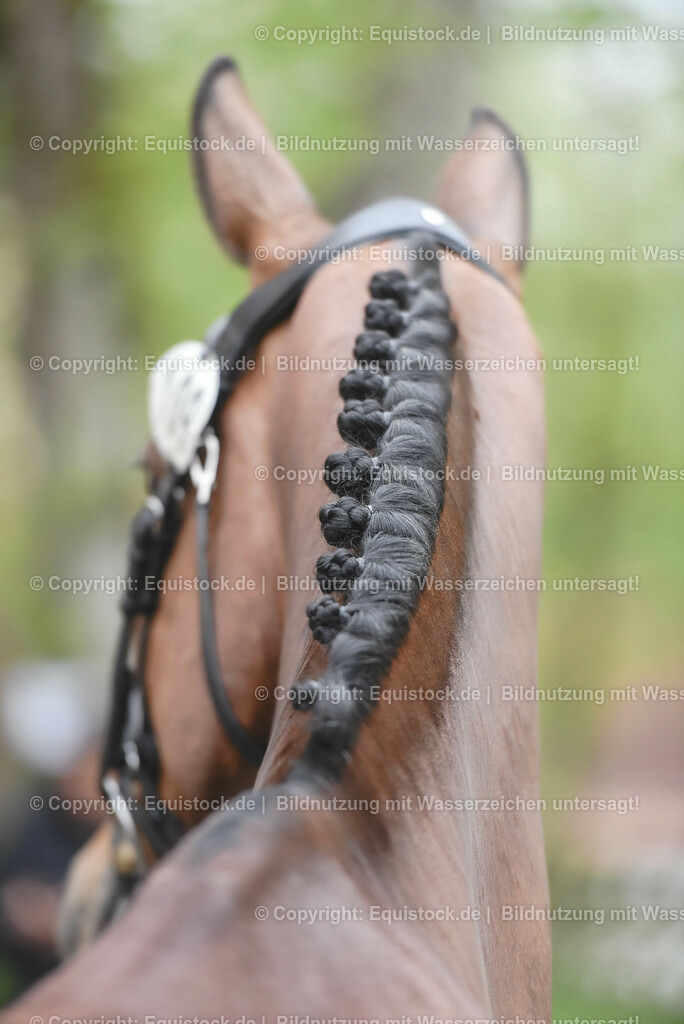 20230514_Impressionen_0173 | equistock