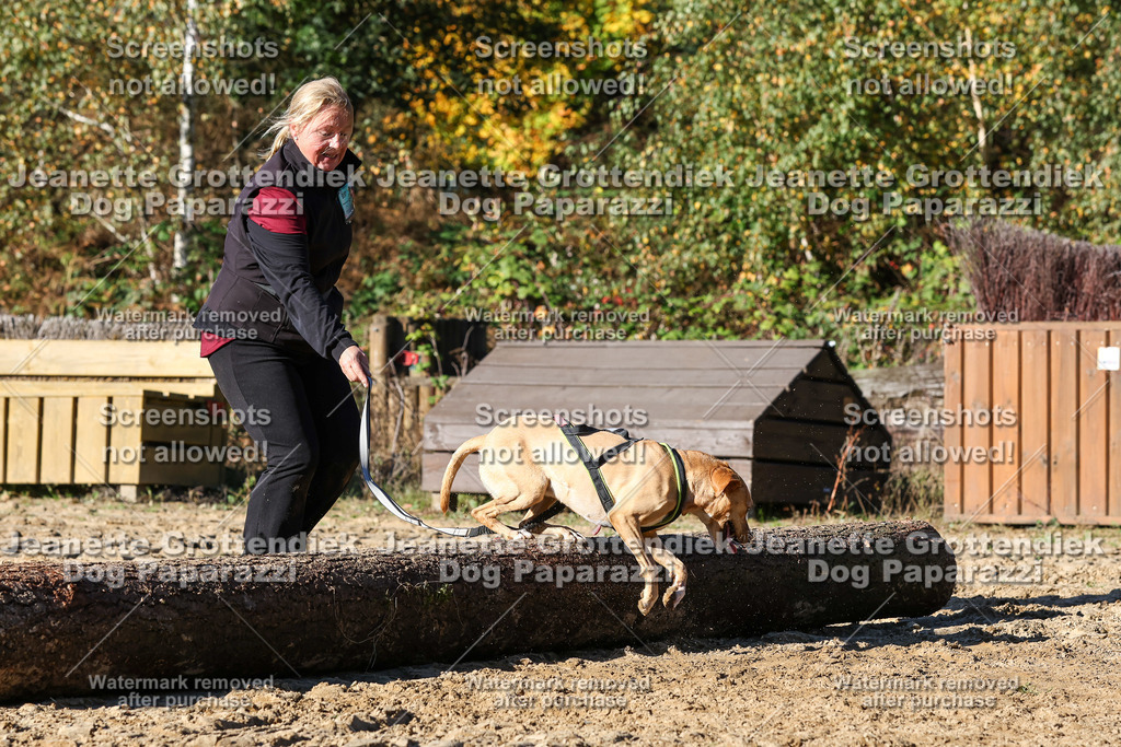 Dog Paparazzi - Strongdog 10-25-2131 | Dog Paparazzi Jeanette Grottendiek Fotografie & Videografie - Realisiert mit Pictrs.com