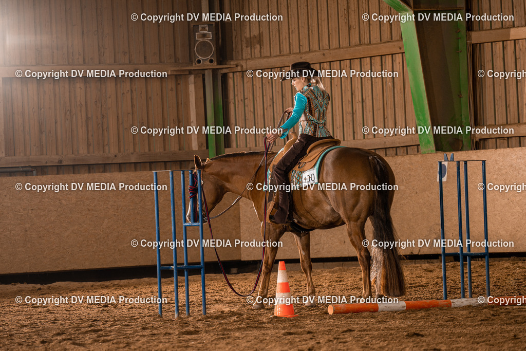 BA300385 | dv-media-shop - Realisiert mit Pictrs.com