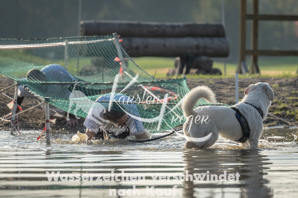 1621_ZZ93651 | kk-dogfotos