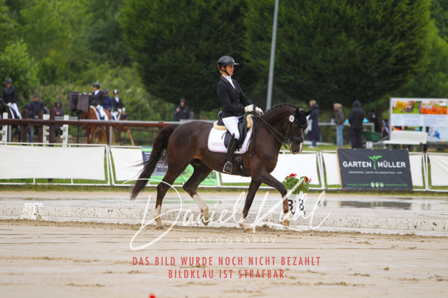 DKP40535 | Turniersportfotografie; Pferdefotografie; Dressurfotografie