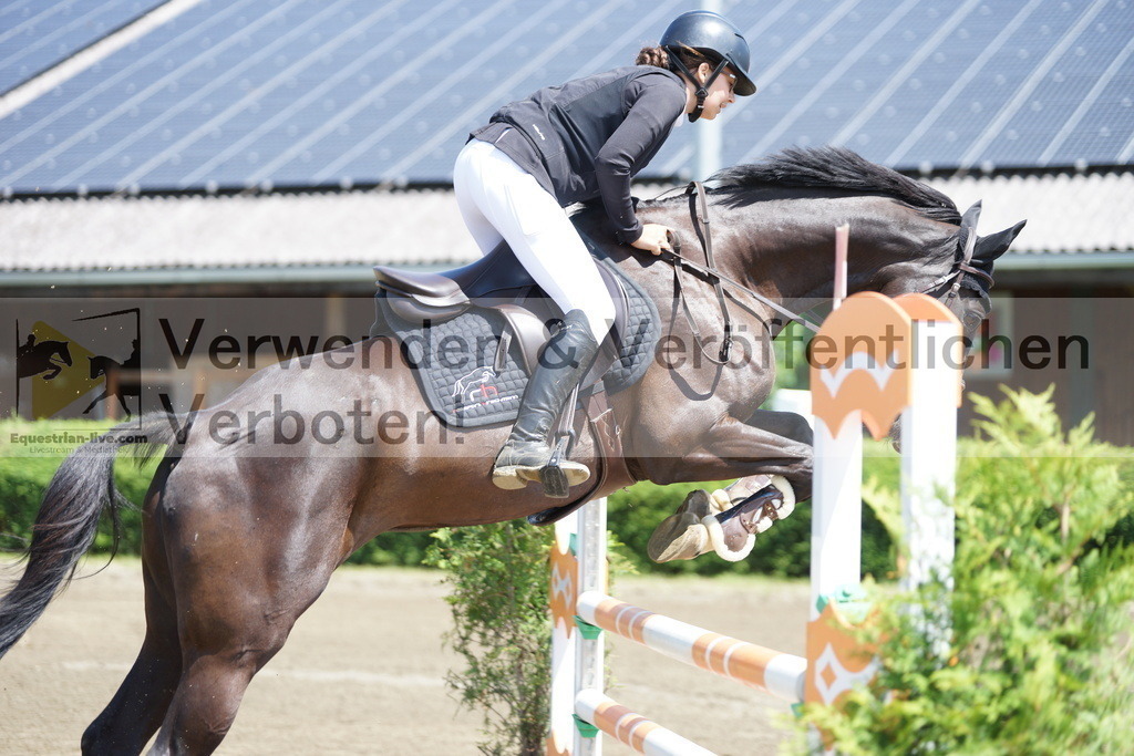 DSC06031 | equestrian-live-com