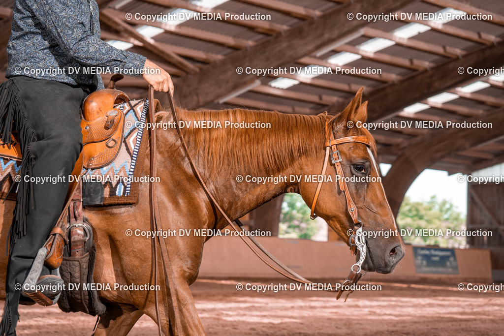 NE100735 | dv-media-shop - Realisiert mit Pictrs.com