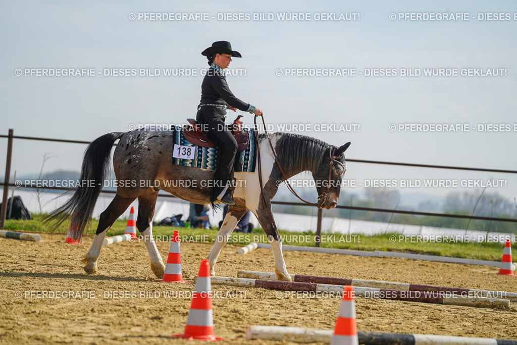 DSC01148 | Pferdegrafie