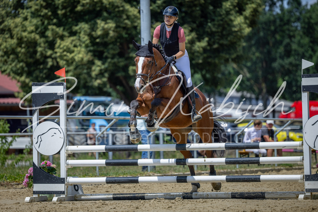20260704-_3LI8692 | Tierfotografie Pferde, Hunde, Katzen, Haustiere.
Turnierfotografie Reitturniere, Reiten, Springreiten, Dressur in Hanau, dem Main-Kinzig-Kreis und dem Rhein-Main- Gebiet um Frankfurt