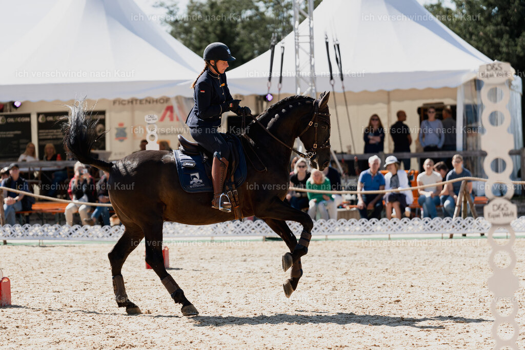 Mirjam25_FHC2025-08669 | working equitationturnier fotograf videograf stoibphotography marixx film working equitation deutschland reitsport turnierfotografie eventfotografie equestrian events