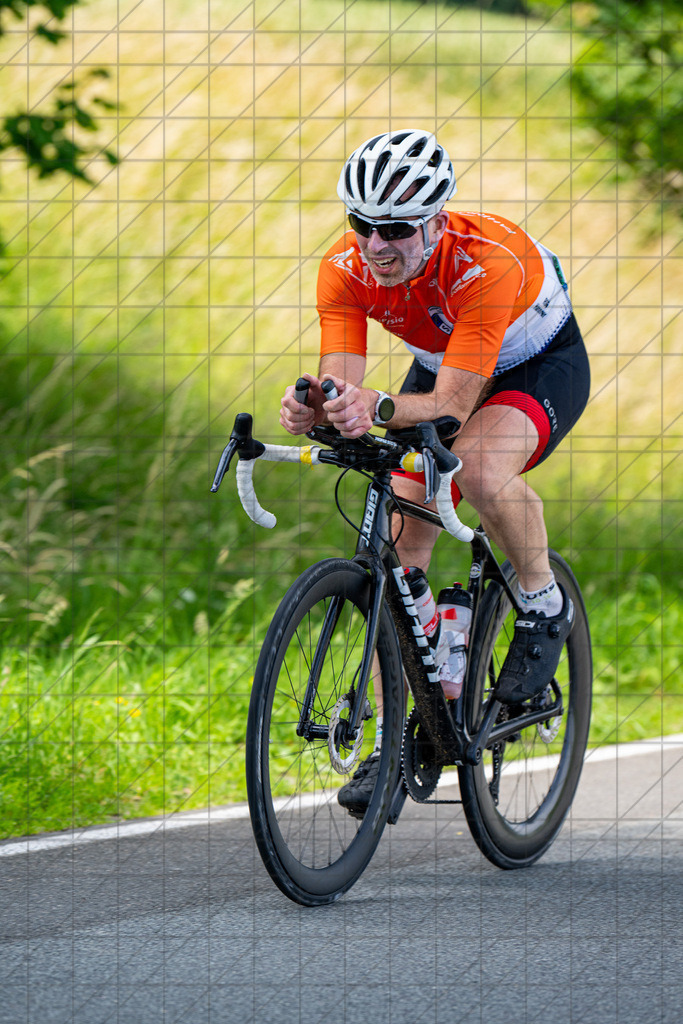 LVM EZF Niederesachen | //  Wellingholzhausen, Deutschland, 22.06.25: LVM EZF Niederesachen //   CREDIT:www.bullenfotos.de, Martin König, Hörner Weg 40, D-49078 Osnabrück, +4917663732967 // Nutzung und Weitergabe nur zu den vereinbarten Zwecken. Presseanfragen an Ersteller. Alle Rechte beim Ersteller. Honorierung nach MFM. - Realisiert mit Pictrs.com