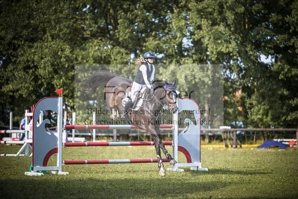 DOS_0832 | Entdecke hochwertige Reitturnierfotos von Foto Oger. Professionell, emotional und authentisch – jetzt Lieblingsmomente im Shop bestellen. - Realisiert mit Pictrs.com