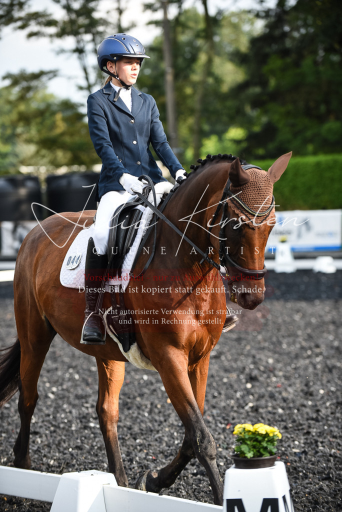 DSC_3372 | Pferde- und Turnierfotografie in Westsachsen. Pferdeportraits, Auftragszeichnungen und intuitive Kunst.