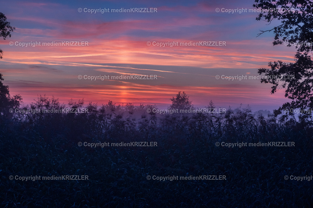 Herreninsel | medienkrizzler - Realisiert mit Pictrs.com