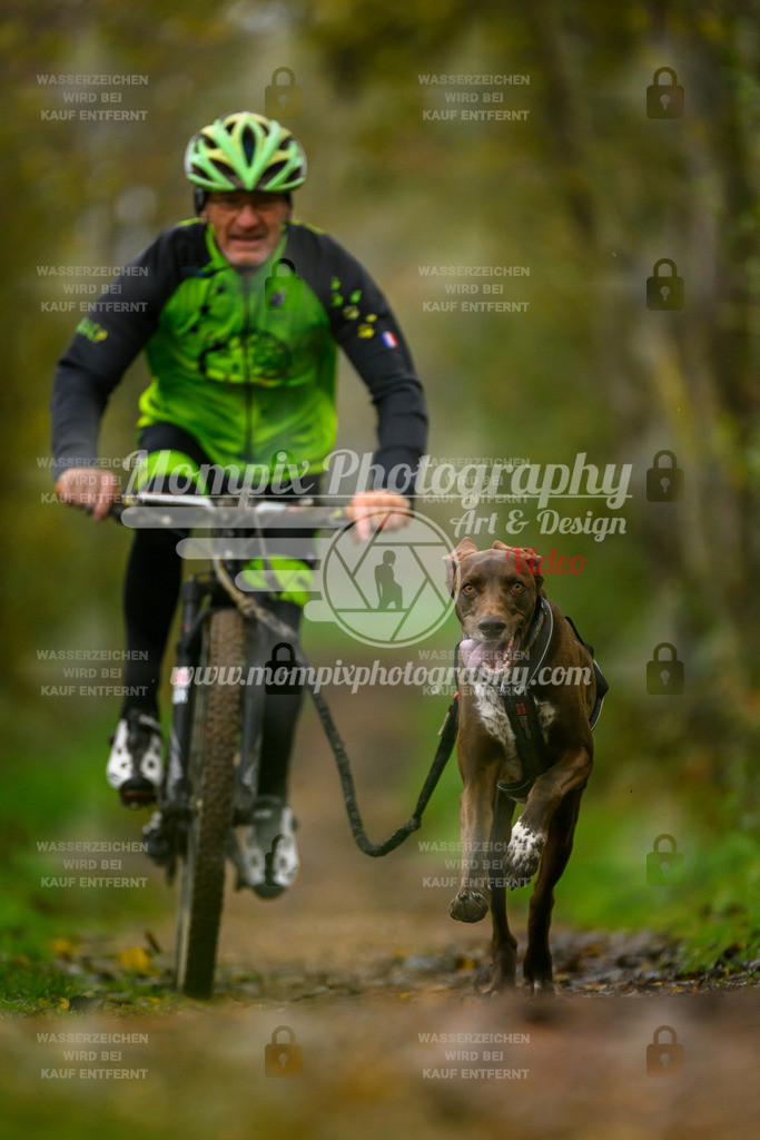 MompixPhotography_20TSB_E6_Bike-7 | PayLife