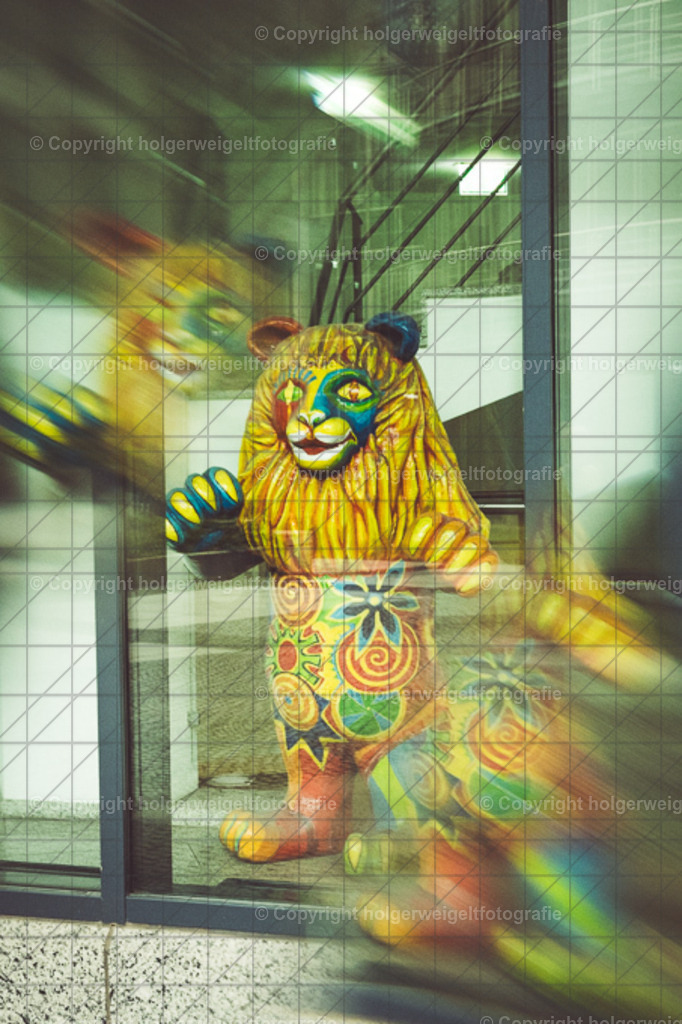 20260703201858Z63_5227 | Kaufen sie online außergewöhnliche Fotografien auf Leinwand Acrylglas Fotoprint Aludibond von holgerweigeltfotografie - Realisiert mit Pictrs.com