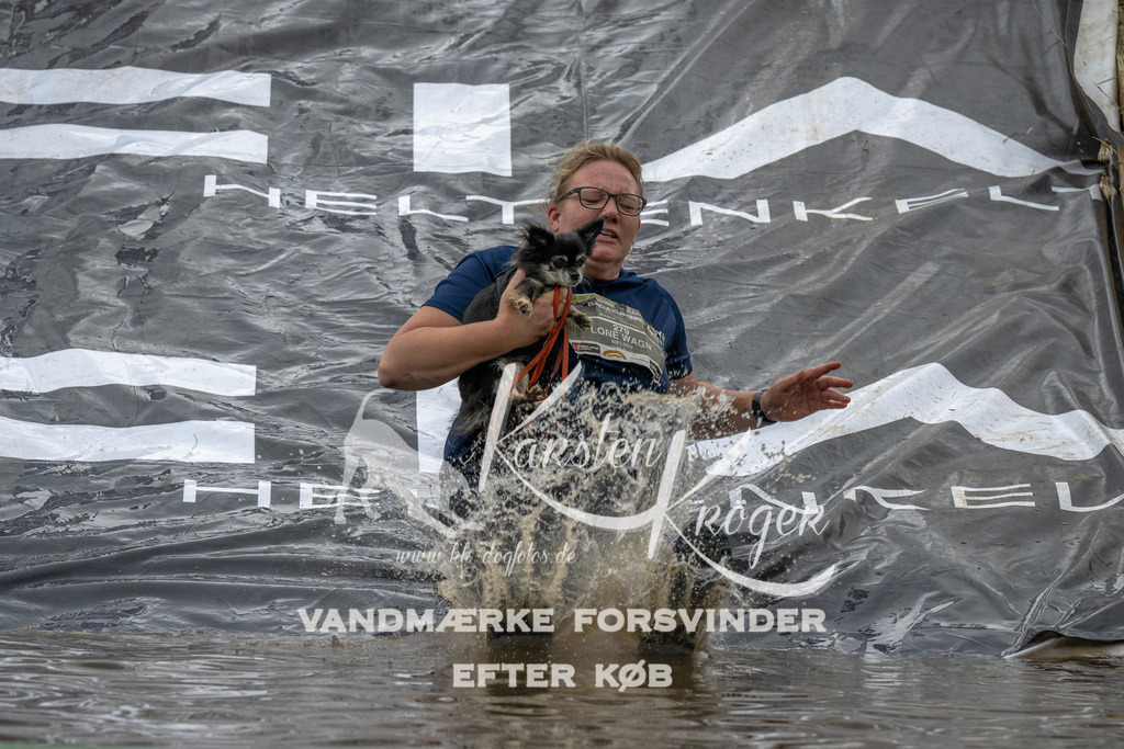 1540_ZZ94840 | kk-dogfotos