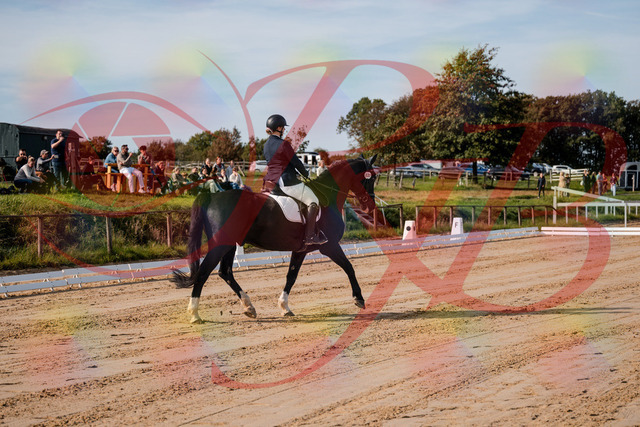 2026_10_03_Siefer-Hof_113436_Z63_20324288 | Professionelle Reitsport-, Turnier- und Eventfotografie von Robert Broda. Galerien mit ausgewählten und bearbeiteten Bildern direkt online ansehen und bestellen.
