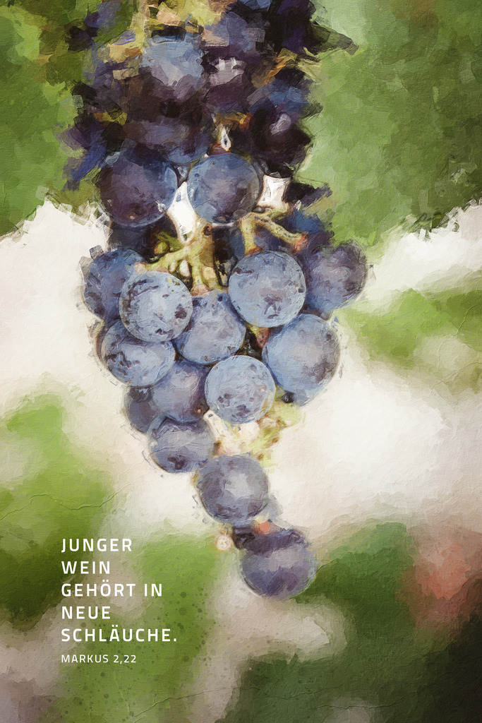 Junger Wein gehört in neue Schläuche. Mk 2,22 (E) | Monatslosung / Monatsspruch Januar 2024