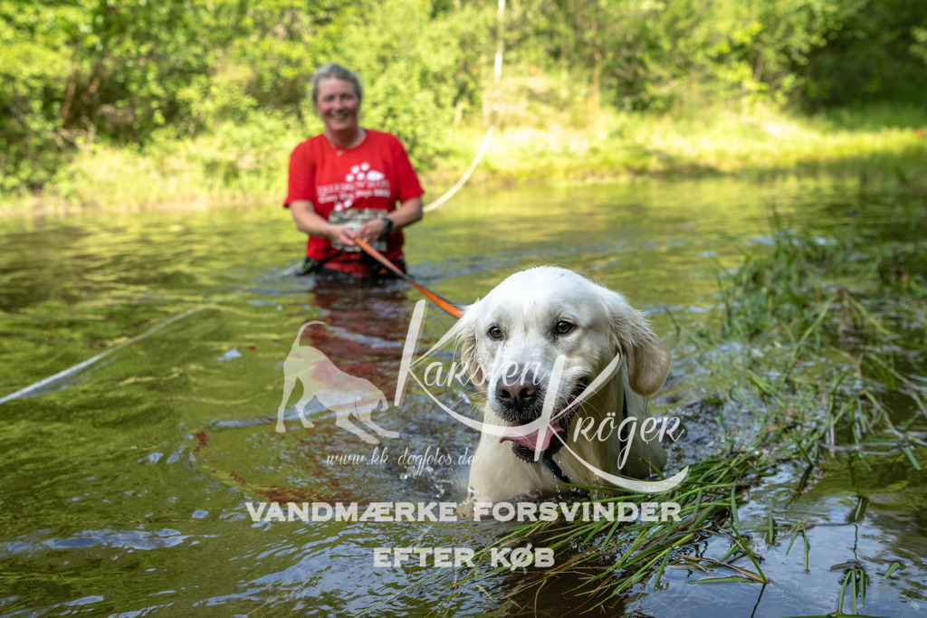 0945DKK9_ZZ93054 | kk-dogfotos