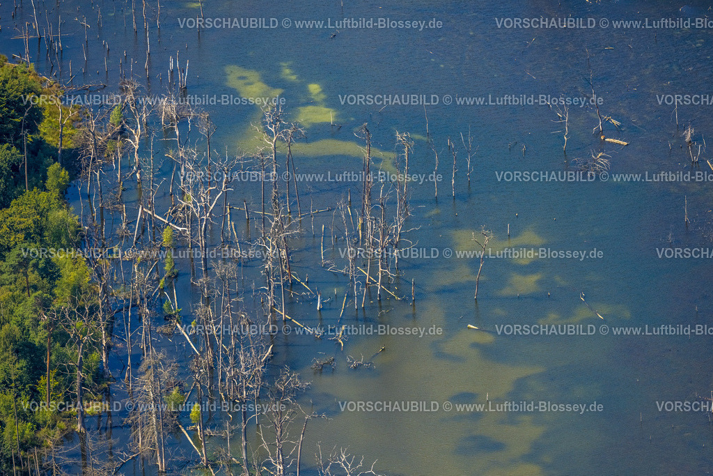 Bottrop250801363Kirchhellen | Luftbild, Bäume im See der Kirchheller Heide, Elsbachsee (auch Pfingstsee) im Naturschutzgebiet NSG, Kirchhellen-Nord-West, Bottrop, Ruhrgebiet, Nordrhein-Westfalen, Deutschland