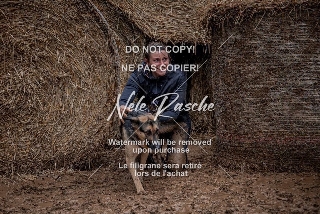 nelerasche_Hunsrück_So13-Ende_388 | nelerasche