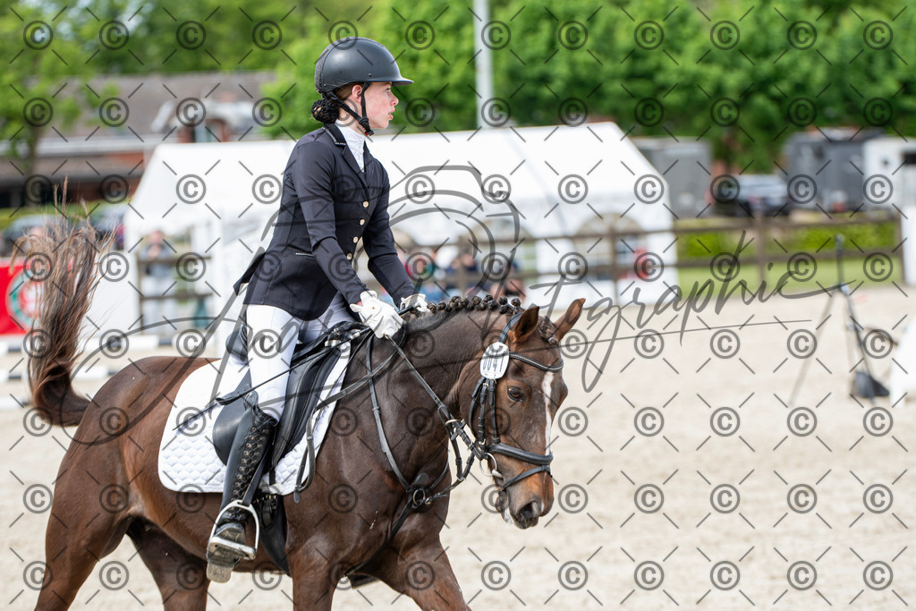 KPT_6029 | andre_photographic