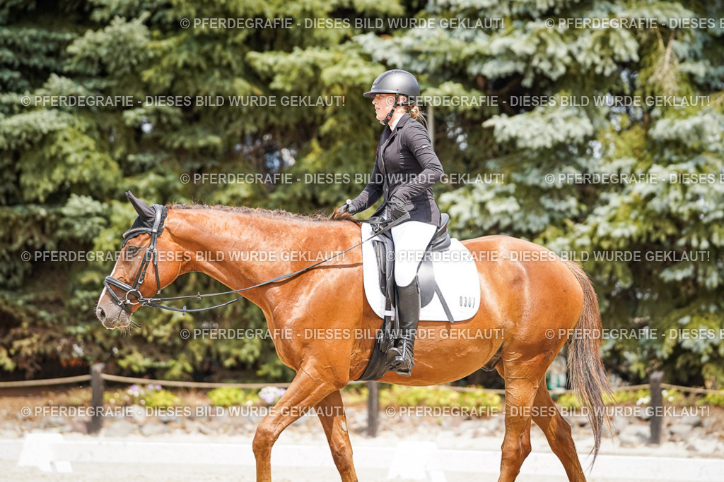 DSC03898 | Pferdegrafie