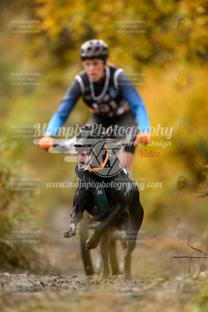 MompixPhotography_ICF_WC_2024_SA_Bike_-120 | PayLife