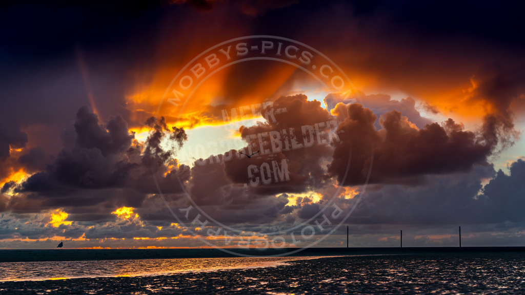 Wenn der Himmel brenntdng | Dramatischer Sonnenuntergang in St. Peter-Ording