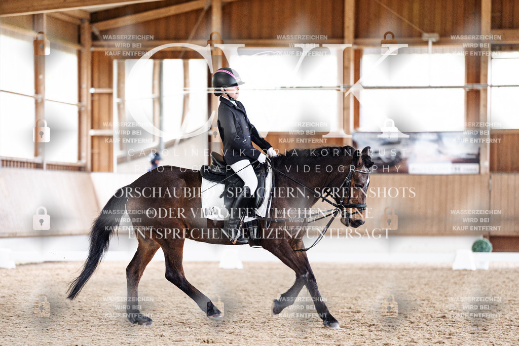 CK901310 | Turnierfotografie Pferdefotografie Trier Rheinland-Pfalz Pferdesport Reitsport Tierfotografie Sportfotografie Pferdevideo Pferdevideografie Equestrianvideography equestrianphotography  - Realisiert mit Pictrs.com