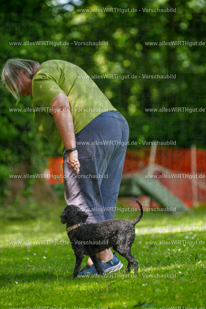 @allesWIRTHgut_Tierfotografie - www.allesWIRTHgut.de - 124946-7R509479 | Professionelle Tierfotografie in Mönchengladbach von Daniel Wirth (allesWIRTHgut). Liebevolle & natürliche Bilder von Hunden & Katzen für unvergessliche Erinnerungen.
