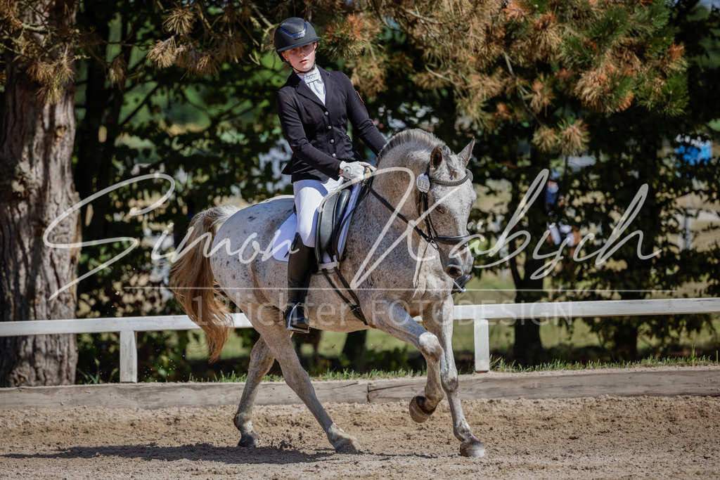 20250906-_3LI5211 | Tierfotografie Pferde, Hunde, Katzen, Haustiere.
Turnierfotografie Reitturniere, Reiten, Springreiten, Dressur in Hanau, dem Main-Kinzig-Kreis und dem Rhein-Main- Gebiet um Frankfurt