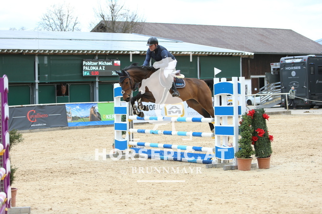 DL2Q9446 | Willkommen bei Brunnmayr - Design & Fotografie – Ihrem Spezialisten für Reitturniere und Pferdeveranstaltungen in Oberösterreich, Salzburg und Bayern! Seit über 17 Jahren sind wir leidenschaftlich dabei.