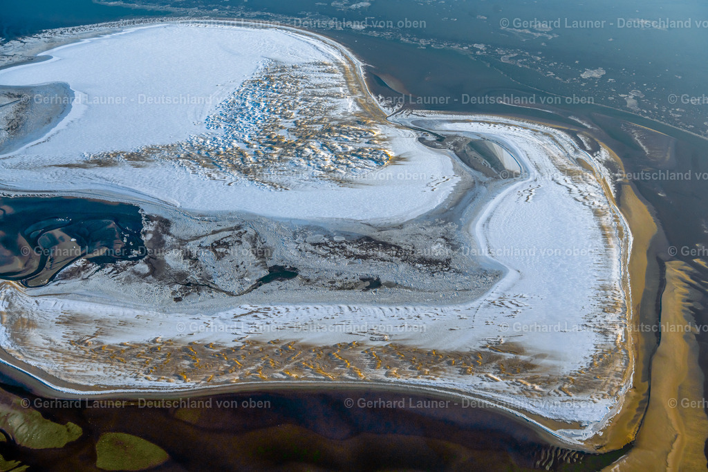 4044148 | Vogelschutzgebiet Memmert, Nationalpark Niedersächsisches Wattenmeer