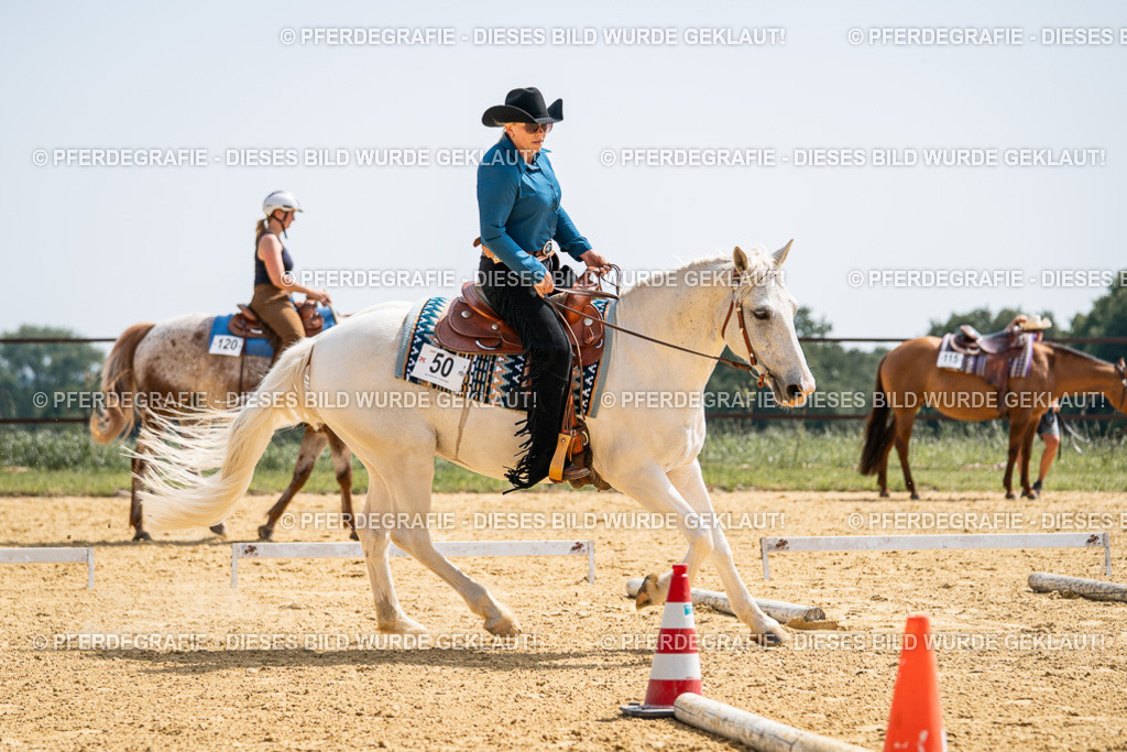 DSC00121 | Pferdegrafie