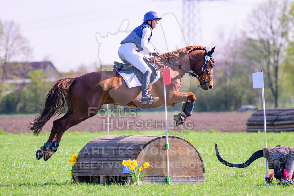 18042026-Gernlinden-03-0256 | Fokus Hufschlag Fotografie - Realisiert mit Pictrs.com