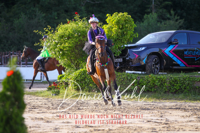 DKP45199 | Turnierfotos kaufen im Webshop von Daniel Kuhl Photography – entdecke professionelle Reitsportfotos aus Turnieren & Events. Hochwertige Turnierbilder online bestellen & sichern. Jetzt Fotos von Reitsportturnieren kaufen!
