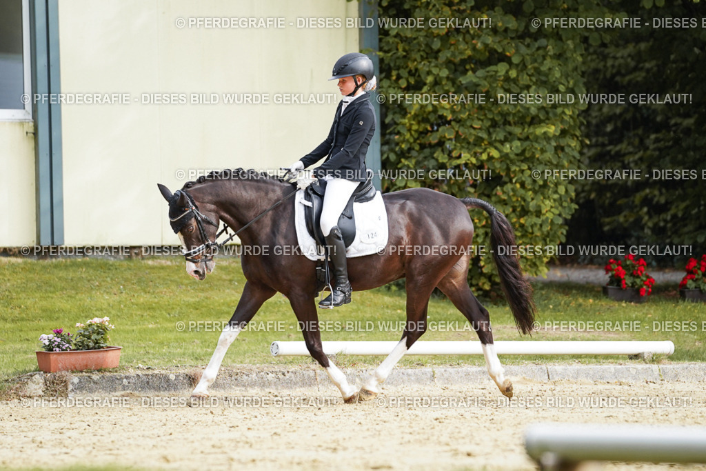 DSC04916 | Pferdegrafie