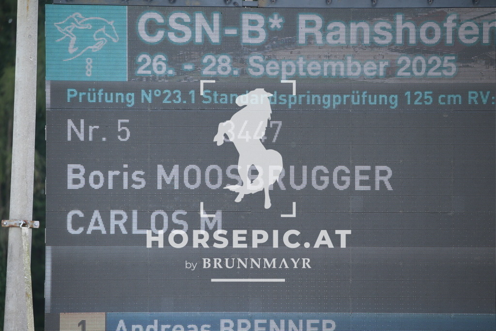 DL2Q4677 | Willkommen bei Brunnmayr - Design & Fotografie – Ihrem Spezialisten für Reitturniere und Pferdeveranstaltungen in Oberösterreich, Salzburg und Bayern! Seit über 17 Jahren sind wir leidenschaftlich dabei.